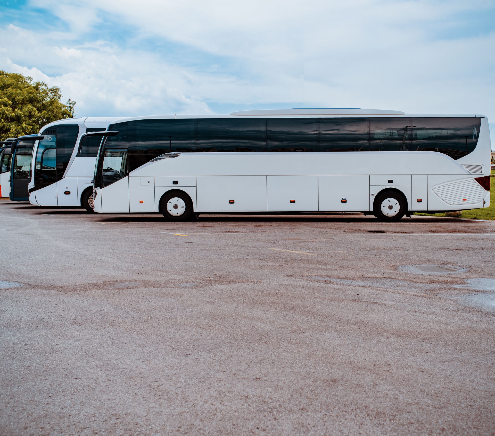 Modern white buses on parking